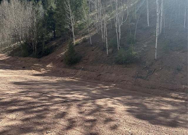 Property at County Road 61, Divide, CO 80816