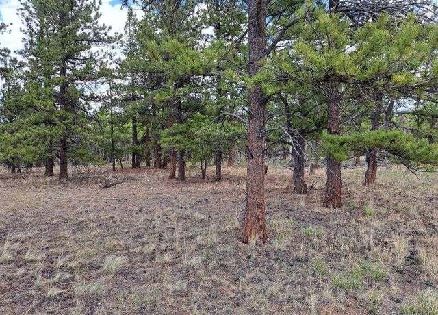 Property at 104 Chap Way, Hartsel, CO 80449