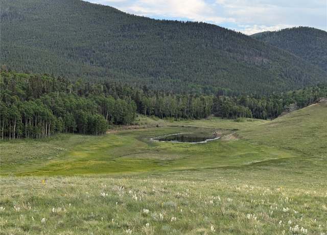 Property at 2433 Petito Dr, Fort Garland, CO 81133