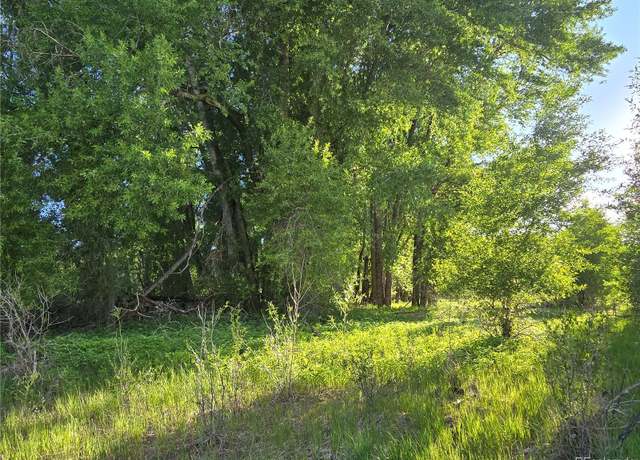 Property at 118 Caddis Cir, South Fork, CO 81154