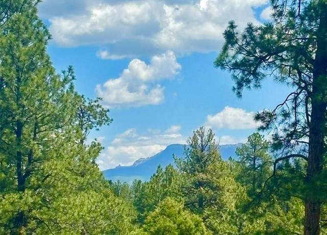 Property at 60 Fisher Canyon Dr, Ridgway, CO 81432