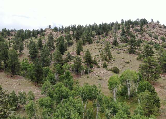 Property at 76 Crocus Cir, Florissant, CO 80816