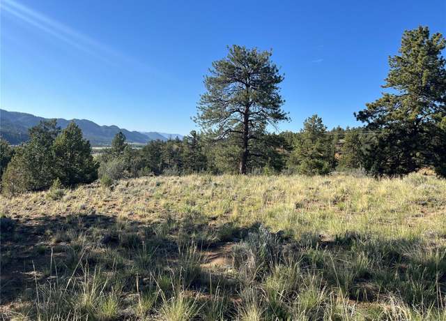Property at 18322 S Lake Rd, Buena Vista, CO 81211