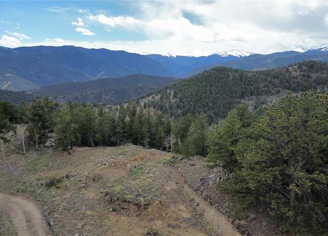 Property at 112 Mule Deer Trl, Idaho Springs, CO 80452