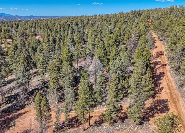 Property at 81 Garnet Way, Florissant, CO 80816