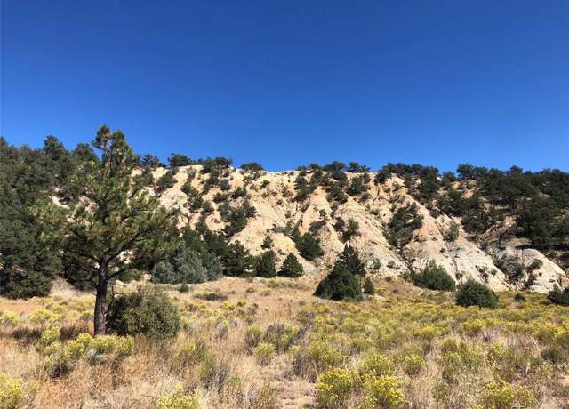 Property at 31 AC CR 634.2, Gardner, CO 81040