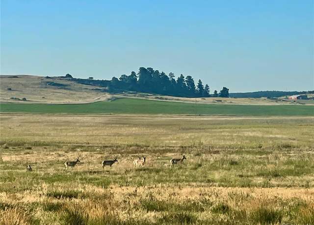 Property at Craven Lot 1, Elbert, CO 80106
