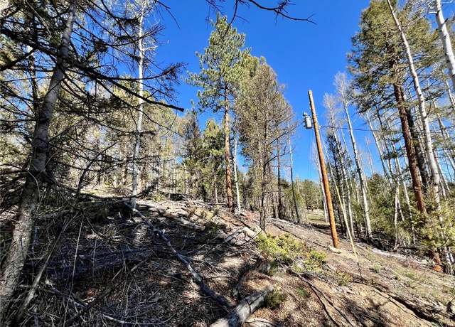 Property at 1439 Bellows Rd, Hartsel, CO 80449