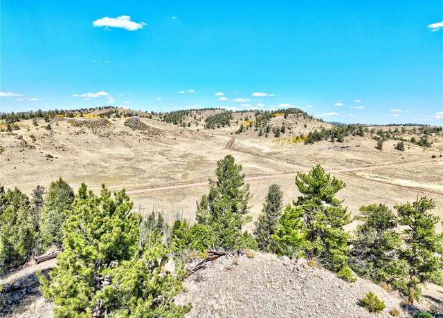 Property at 3433 Dog Chief Trl, Hartsel, CO 80449
