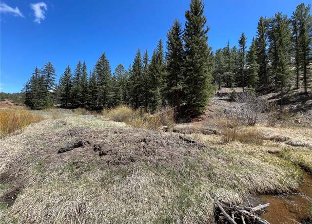 Property at 00 Wildhorn Rd, Florissant, CO 80816