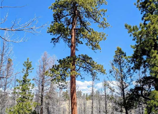 Property at 1164 Frees Loop, Guffey, CO 80820