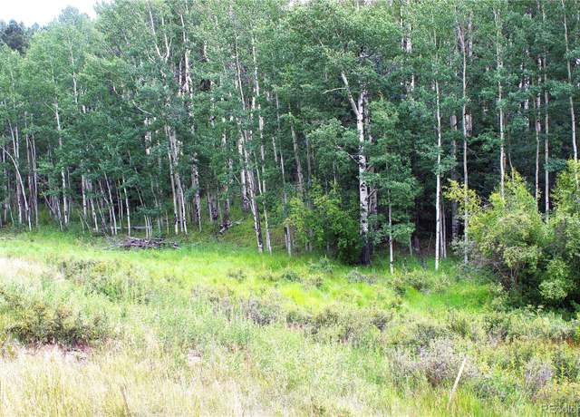 Property at 344 Grey Eagle Dr, Cripple Creek, CO 80814