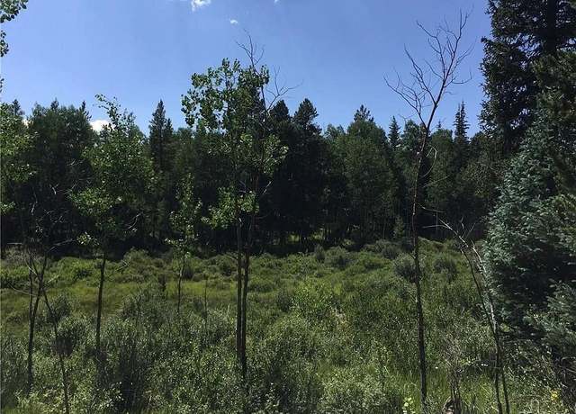 Property at 99 Dead Toad Rd, Alma, CO 80440