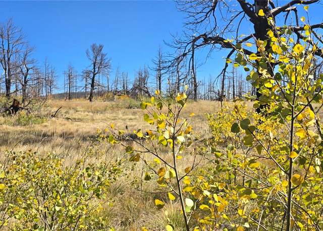 Property at Lot 1684 Emery Loop, Fort Garland, CO 81133