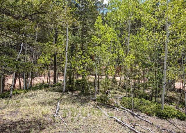 Property at 1058 Bennett Dr, Cripple Creek, CO 80813