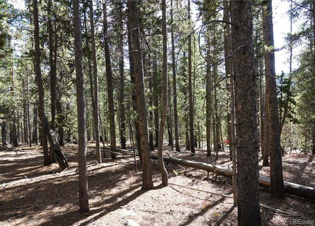 Property at 000 Loch Lomond Rd & Vista Rd, Idaho Springs, CO 80452