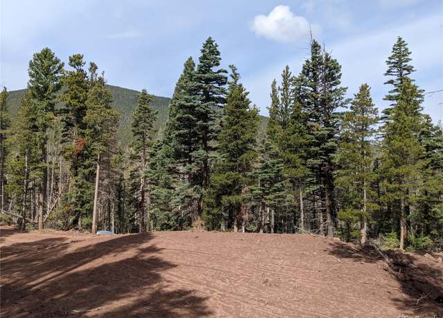 Property at 3331 Purnell Ln, Fort Garland, CO 81133
