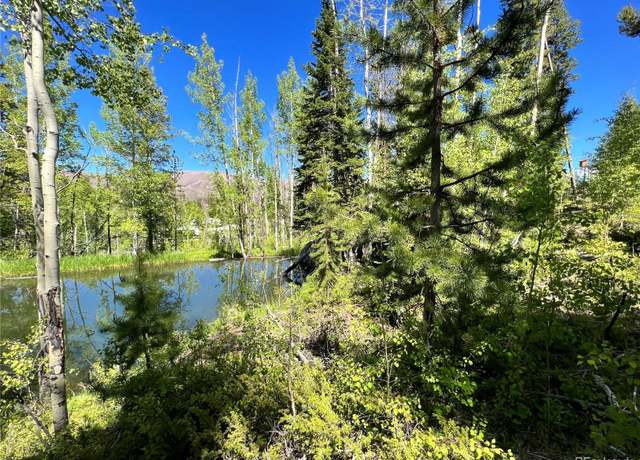 Property at 134 Mad Moose Ln, Grand Lake, CO 80447