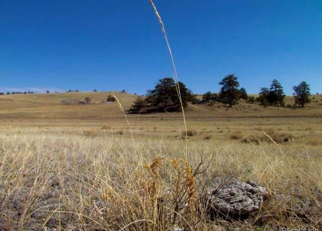 Property at Tbd CR 53, Hartsel, CO 80449