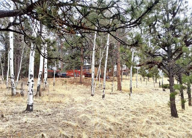 Property at 103 Adair Cir, Florissant, CO 80816, 2 beds, 1 bath