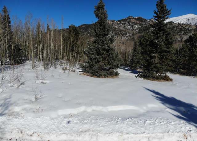 Property at Castle Ridge Vw, Divide, CO 80813