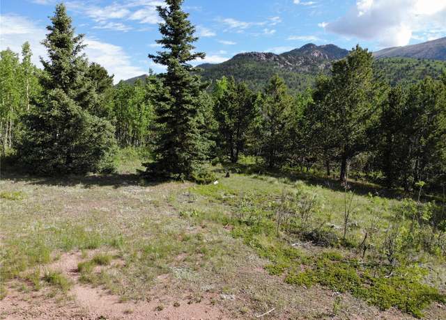 Property at Castle Ridge Vw, Divide, CO 80813