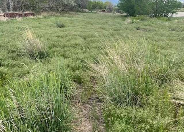 Property at 3233 County Road 19, Brighton, CO 80603