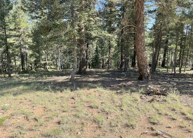 Property at 810 Ridge Rd, Divide, CO 80814