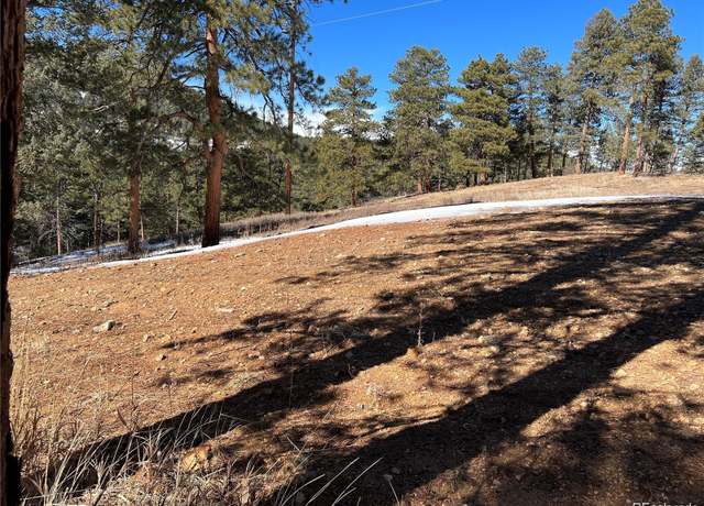 Property at Lot 1 Iowa Gulch Rd, Morrison, CO 80465