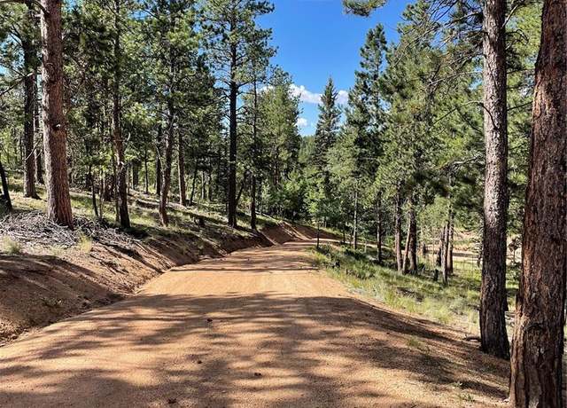 Property at 464 Saddleback Creek Dr, Florissant, CO 80816