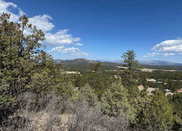 Property at TR-121 19th Trl, Cotopaxi, CO 81223