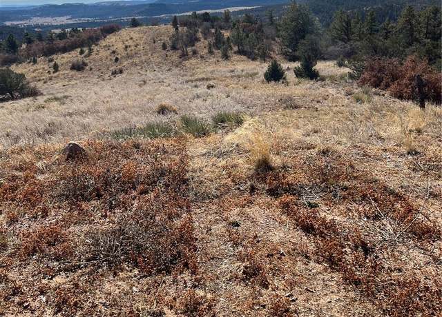 Property at L35 Autumn Creek Dr, Canon City, CO 81212