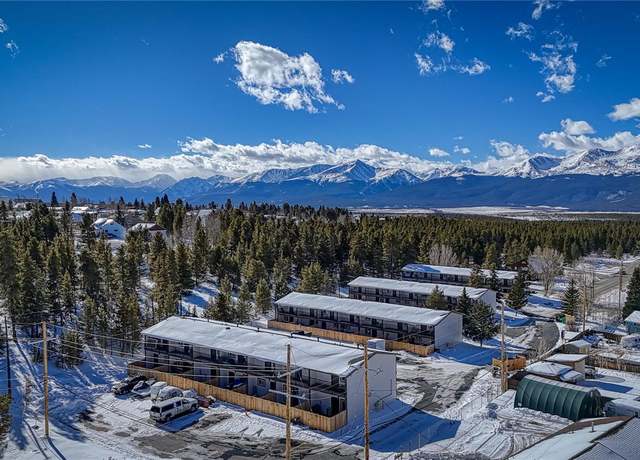 Property at 921 Mt Massive Dr #20, Leadville, CO 80461, 2 beds, 1 bath