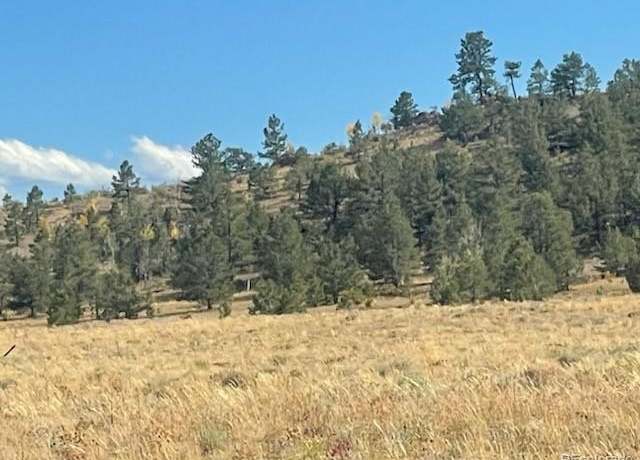 Property at Black Beaver Trl, Hartsel, CO 80449