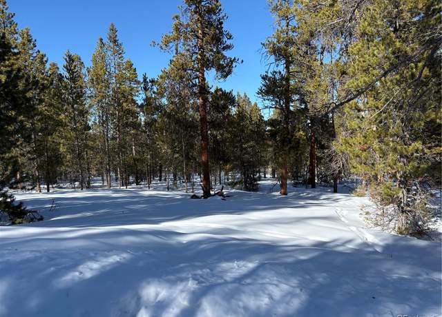 Property at 331 & 351 Mt Massive Rd, Twin Lakes, CO 81251