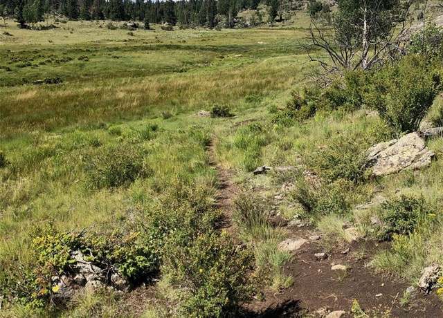 Property at 15672 Forest 15690 Florence, Salida, CO 81201