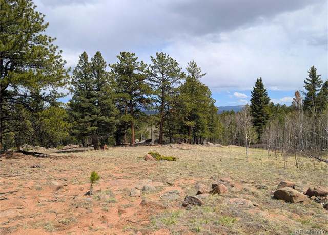 Property at 43 Spanish Bit Dr, Lake George, CO 80827