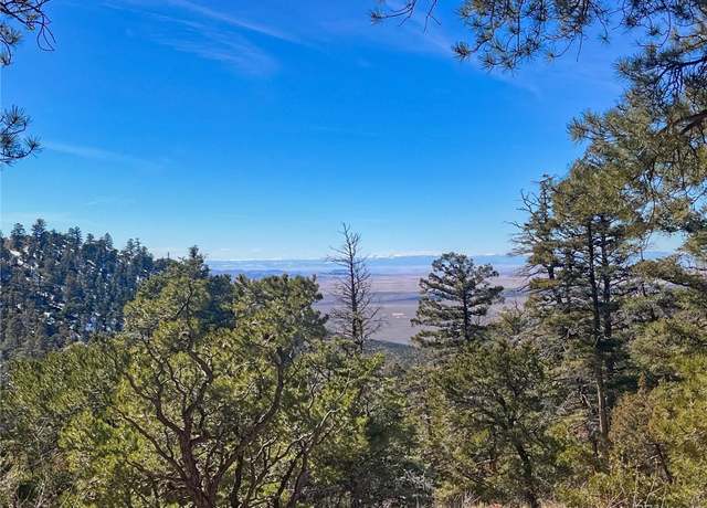 Property at 00 Adelaide Rd, Fort Garland, CO 81133