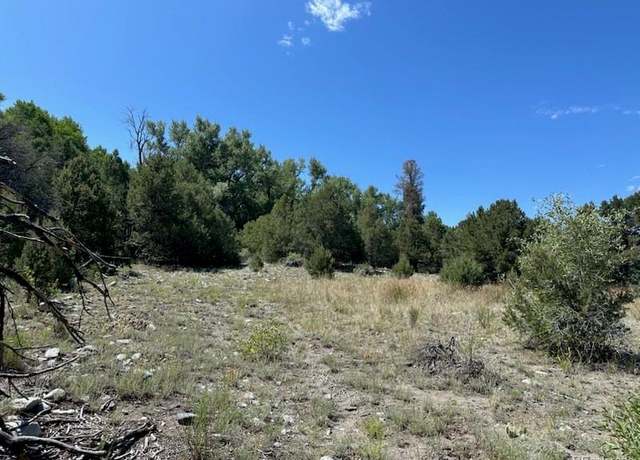 Property at 216 Colima Pl, Mosca, CO 81146