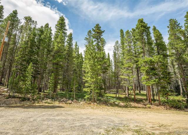 Property at 114 Elk Cir, Idaho Springs, CO 80452