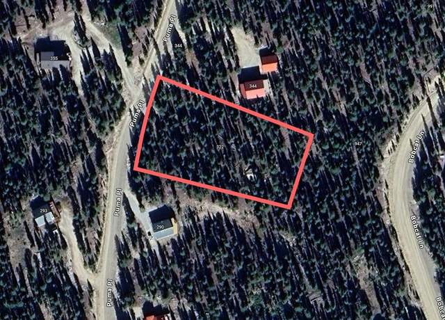 Property at 322 Puma Pl, Fairplay, CO 80440