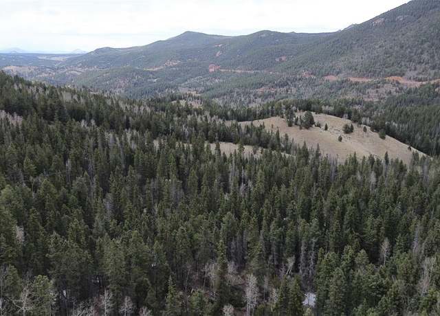 Property at 000 Four Mile Rd, Divide, CO 80814