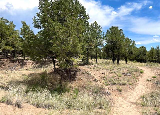 Property at Tract 6 PHILLEO ANNEX Hemlock St, Crestone, CO 81131