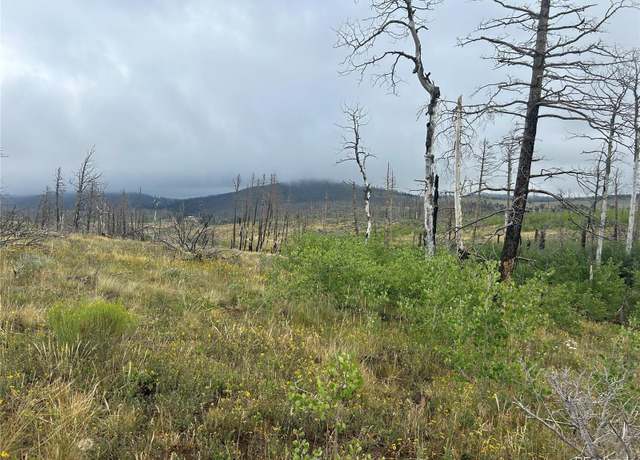 Property at 00 Korlkoff Ln, Fort Garland, CO 81133