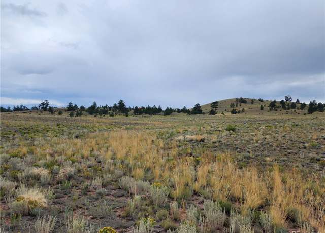 Property at 547 Thrush Ln, Hartsel, CO 80449