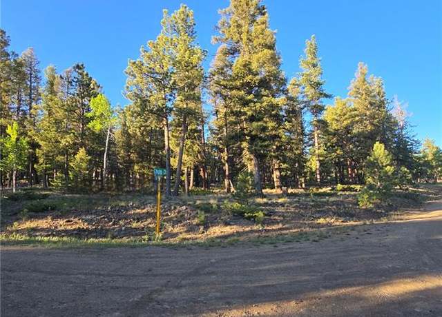 Property at Chubb, Buena Vista, CO 81211