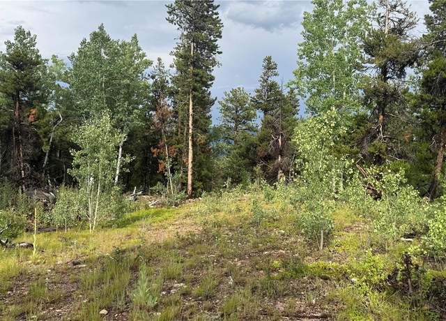 Property at 001 Church Placer Rd, Central City, CO 80427
