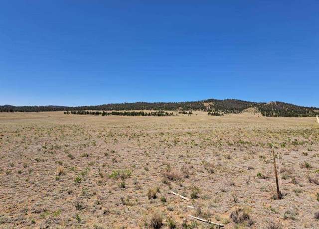 Property at 104 Navajo Trl, Hartsel, CO 80449