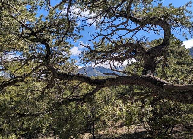 Property at 1814 Lobo Pt, Crestone, CO 81131