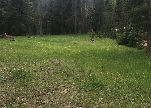 Property at Undisclosed address, Conifer, CO 80433